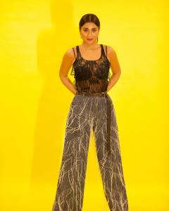 shriya-saran-in-latest-fashion-style-photos-004