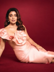 shriya-saran-in-new-ideas-for-party-wear-outfit-photos-010