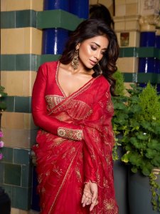 shriya-saran-in-new-ideas-for-party-wear-outfit-photos-028