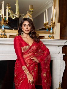 shriya-saran-in-new-ideas-for-party-wear-outfit-photos-029