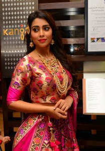 shriya-saran-latest-photos-032-00380