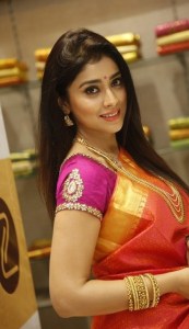 shriya-saran-latest-photos44-00854