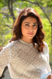 shriya-saran-latest-photoshoot-photos-00742