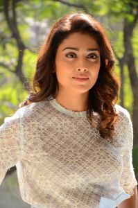 shriya-saran-latest-photoshoot-photos-00850