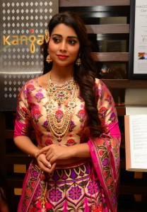 shriya-saran-latest-pics-092-01015