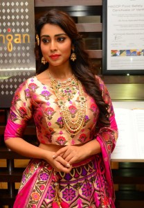 shriya-saran-latest-pics-09295