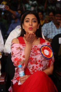shriya-saran-latest-pics-09932-136