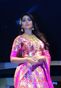 shriya-saran-latest-pictures-093-00164