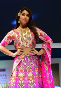 shriya-saran-latest-pictures-09388