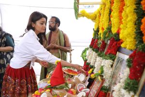 shriya-saran-latest-pictures-093932-128