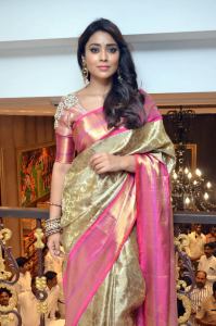 shriya-saran-latest-pictures-100-00244