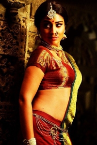 shriya-saran-latest-pictures-333-00139