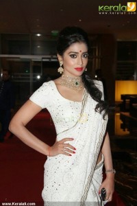 shriya-saran-latest-stills-00367