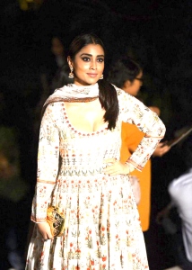 shriya-saran-latest-stills-666-00197