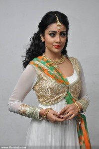 shriya-saran-latest-stills27