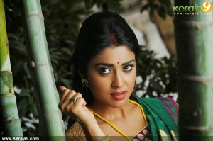 shriya-saran-new-photos-00270