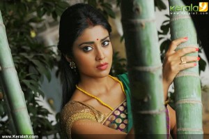shriya-saran-new-photos-00490