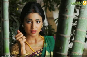 shriya-saran-new-photos-00697