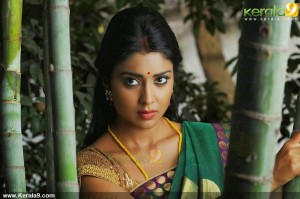 shriya-saran-new-photos-00757
