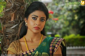 shriya-saran-new-photos34