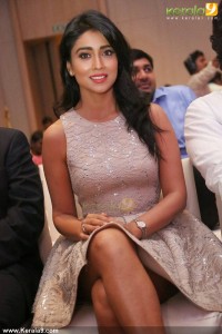 shriya-saran-new-photoshoot-00293