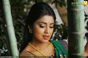 shriya-saran-new-stills-00269