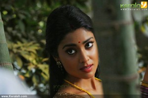 shriya-saran-new-stills14