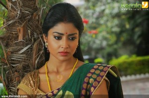 shriya-saran-photo-gallery-00341