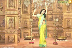 shriya-saran-photos-123-00464