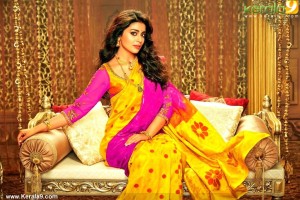 shriya-saran-photos-12329