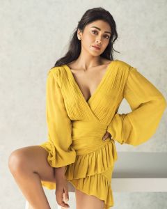shriya-saran-photos-after-marriage-003