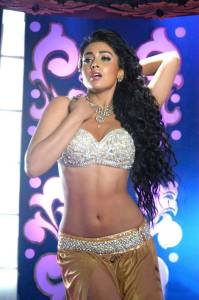 shriya-saran-photos-download84