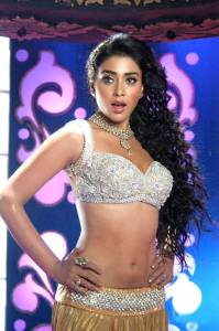 shriya-saran-pics-00145