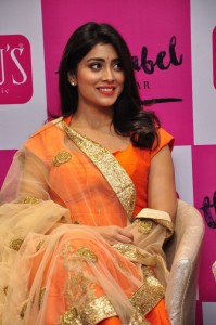 shriya-saran-pics-100-00119