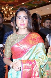 shriya-saran-pics-222-0031