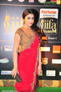 shriya-saran-pics-85036