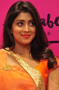 shriya-saran-pictures-300-0046