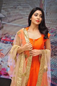 shriya-saran-pictures-30087