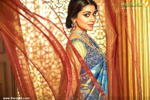 shriya-saran-pictures-457-00293