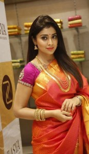 shriya-saran-pictures-gallery87-00263