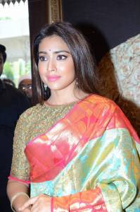 shriya-saran-stills-320-00165