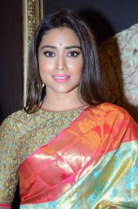 shriya-saran-stills-320-00378