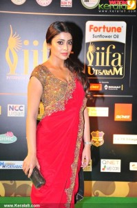 shriya-saran-stills-740-00195
