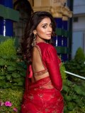shriya-saran-in-new-ideas-for-party-wear-outfit-photos-002