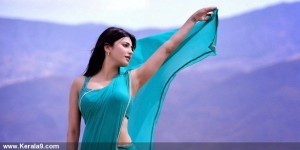 shruti-hassan-photos-01272