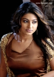 3455sneha_latest_pictures_33-005