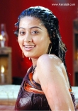4019sneha_latest_pics_11-005