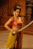 869sneha_latest_pics_11-001