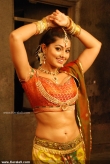 9113sneha_pictures_99-001