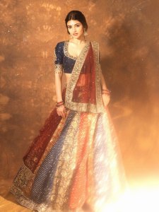 sreeleela-in-navratri-outfit-dress-ideas-photos